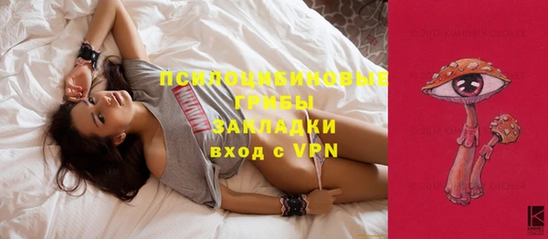 соль ск Абаза