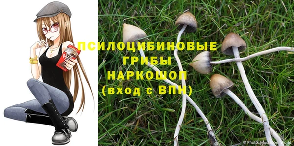 мдпв Абинск