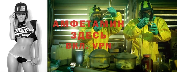 шишки Алзамай