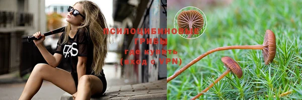 шишки Алзамай