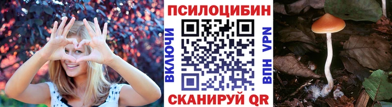Псилоцибиновые грибы Cubensis Руза