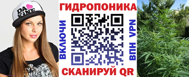 Бошки Шишки ГИДРОПОН  KRAKEN вход  Руза  дарнет шоп 